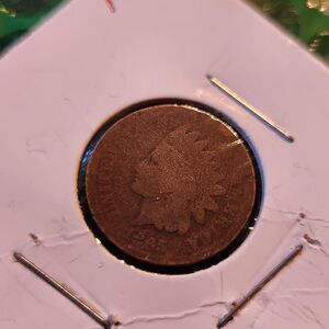 Free-people Collectibles